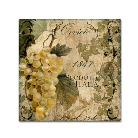 Color Bakery 'Vino Italiano IV' Canvas Art,35x35